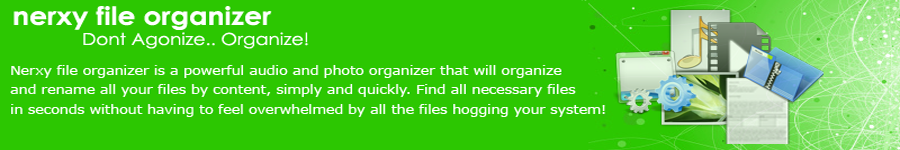 Nerxy File Organizer